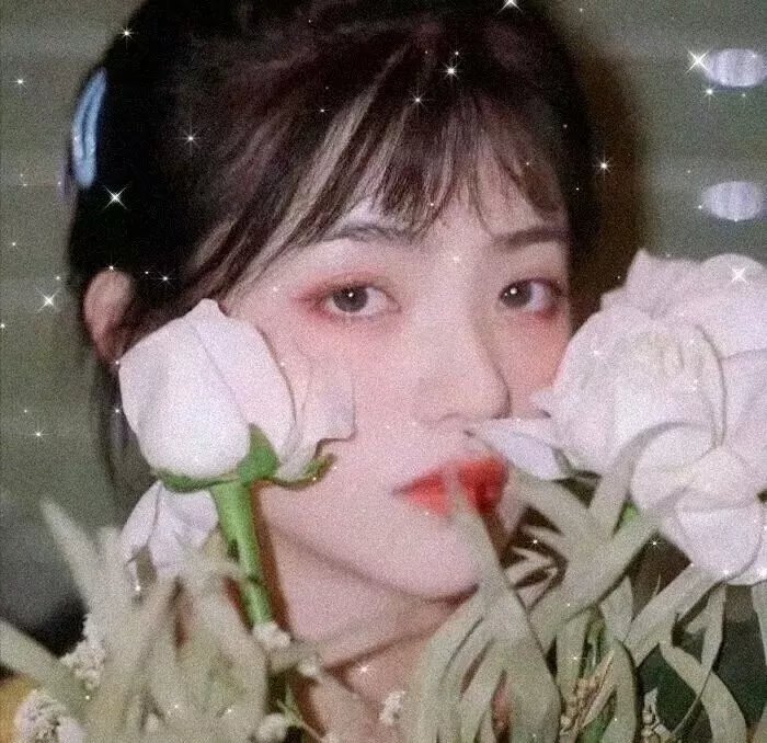 无忧花开2016